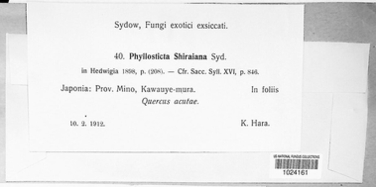 Cleistophoma shiraiana image